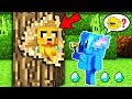 ¡NOS ESCONDEMOS DENTRO DE UN ARBOL!🌲😱 - MINECRAFT ESCONDITE #7