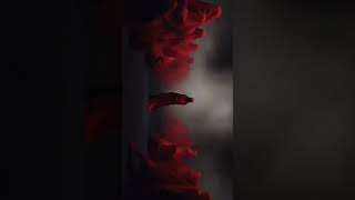 Stable diffusion #stablediffusionai #shorts