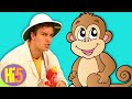 “El Chimpancé de Penacho Naranja" y más Cuentos de Hi-5 | Hi-5 Latino