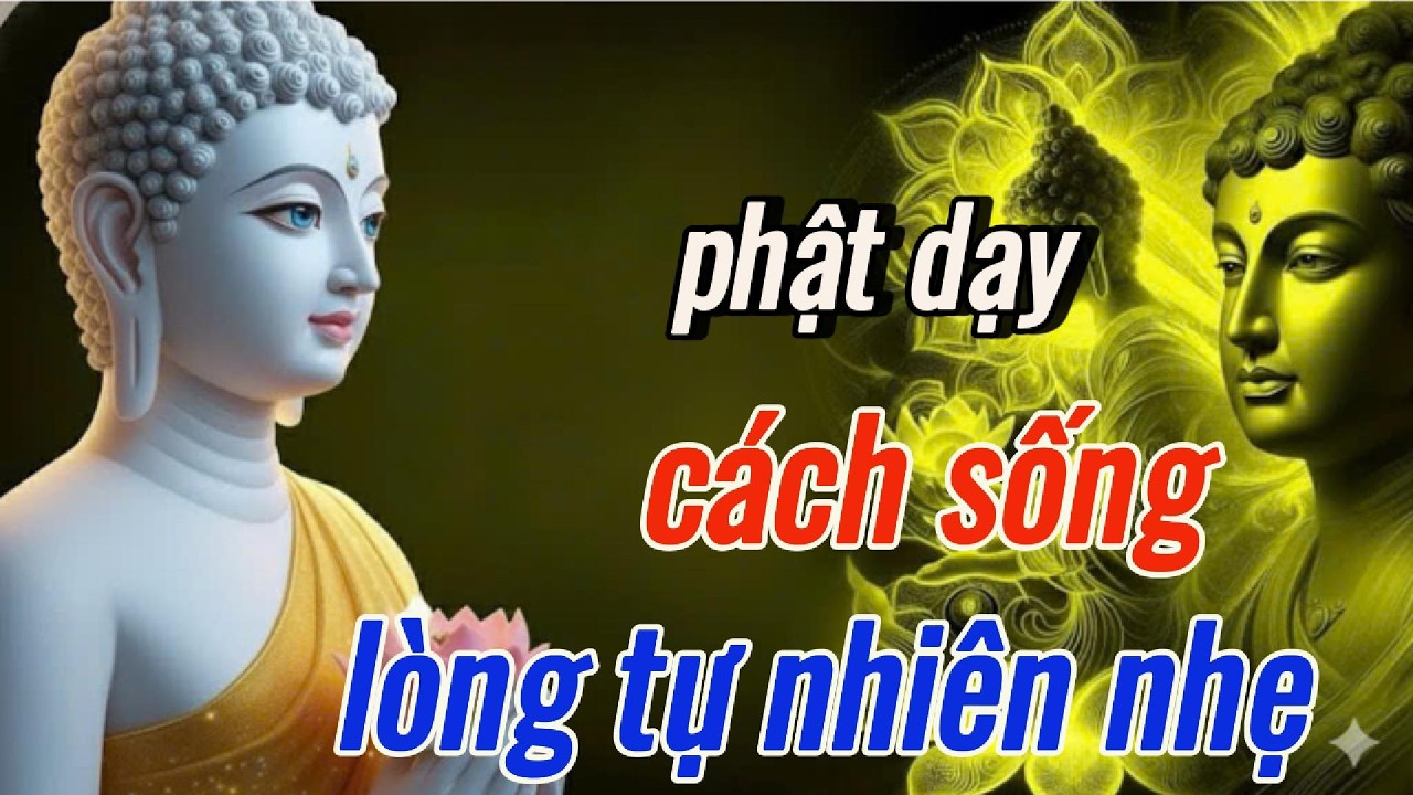Phật Dạy: Muốn Bớt Khổ Hãy Sống Theo Điều Này - Nghe Một Lần Để Thay Đổi Cách Nhìn Cuộc Sống