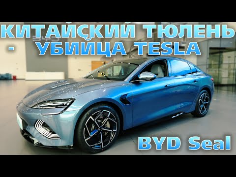 Китайский Тюлень-убийца TESLA.