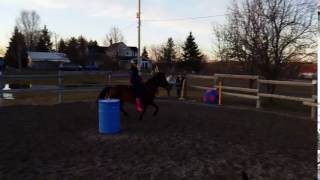 Jelly jumping - no bridle & bareback
