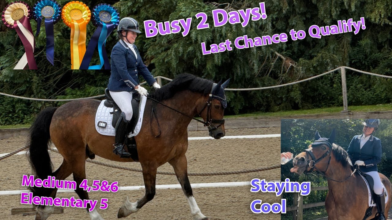 Last Chance Qualifying for Area Festivals & Regionals at Bicton Arena