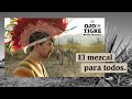 El mezcal para todos todas todes