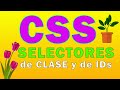 ✅💻CSS | SELECTORES DE CLASES Y DE IDs