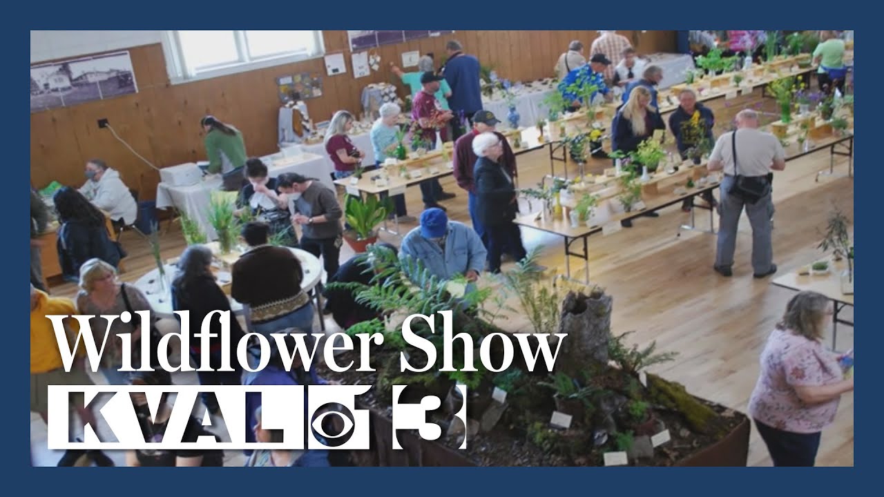 Glide Wildflower Show Seeking Volunteers YouTube