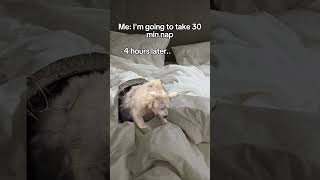 Good morning happy new year 🎈🎊🎆 #sleep #lifeisbutadream #allineed #sleepy #meme #getsleepy #memes