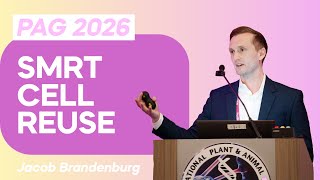 Download Lagu Nieuwe SPRQ-Nx-chemie en multiomics-toepassingen van PAG 33 MP3