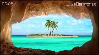 Chasing palm trees 1 hour - Ehrling