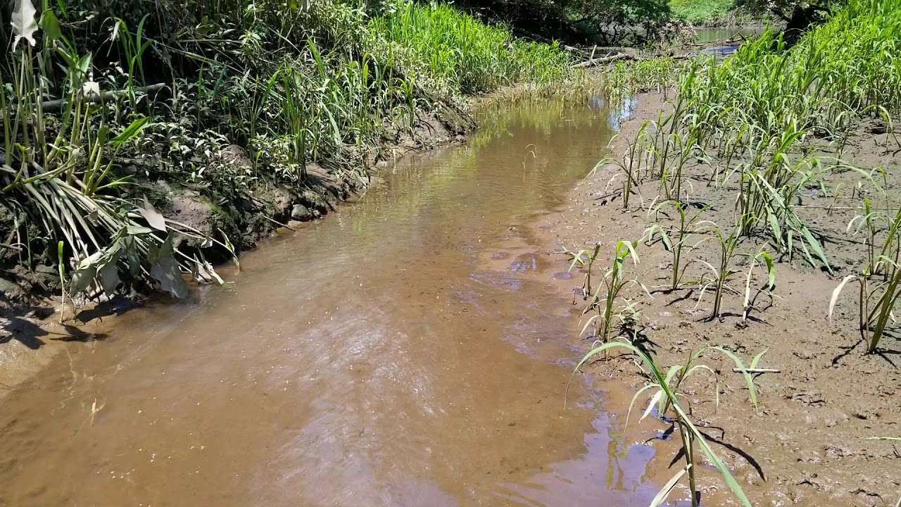 Recon Trip Walking Down Mile Hollow To Crosswicks Creek