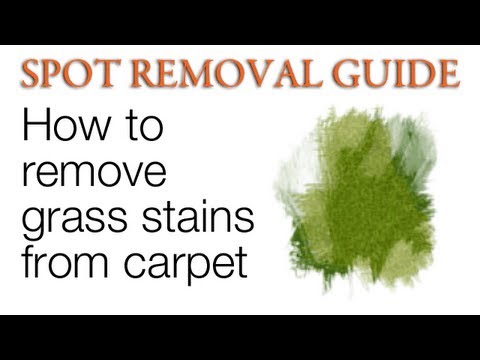 How to Get Grass stains out of Carpet | Spot Removal Guide - YouTube