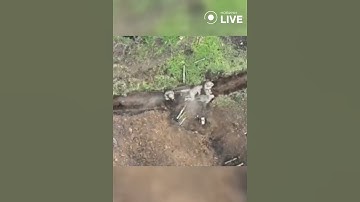 🔥🔥🔥 Одна граната вдала прилетіла