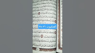 #سورة_العنكبوت ٣٦-٣٨
