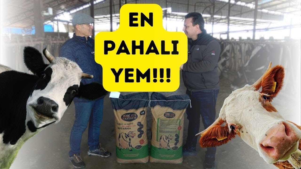 En Pahalı Yem! - Ekstrem Hayvancılık 2. Bölüm