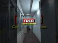 Shape Your Future in Software.#freecareerguidance #lifeboattechnologies #hanamkonda #youtubeshorts