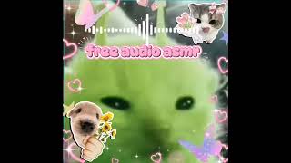 Free audio asmr ( ͡° ͜ʖ ͡°)