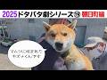 2025狂犬病予防注射会場のドタバタ劇⑲ 朝日町編