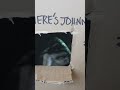 Here's Johnny! #cat box with a window leads to much amusement #heresjohnny #tabby #kittens