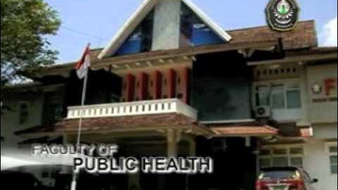 Diponegoro University at a glance