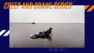ALLIGATOR CRAWL