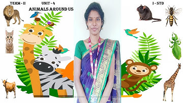 1ST STD E.V.S ANIMALS AROUND US | UNIT - 4 | SLN MATRICULATION SCHOOL