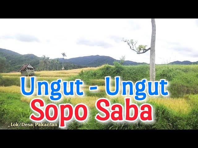 Suling Ungut ungut,Disopo Saba,Pakantan,mandailing natal class=