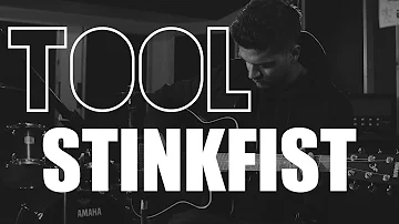 TOOL - Stinkfist | Acoustic Cover