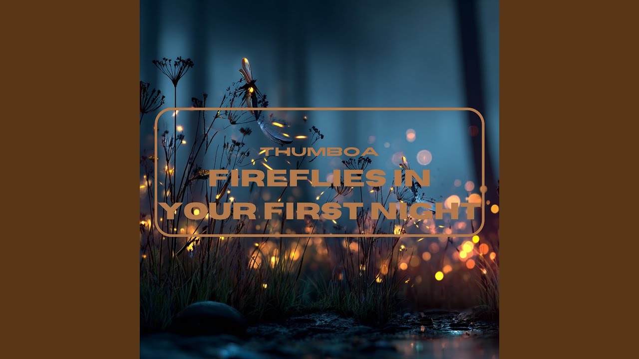 Fireflies in Your First Night