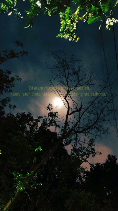 IMAM SYAFI'I Quote story wa