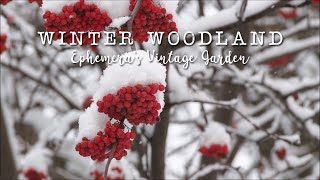 Woodland Snowfall | Happy Holidays