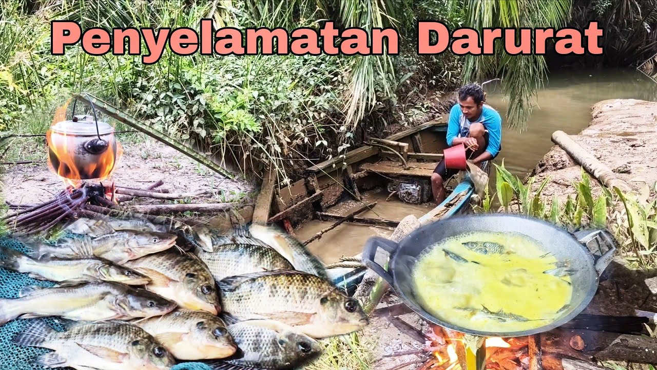 PENYELAMATAN DARURAT || masak segar di alam liar hasil melimpah