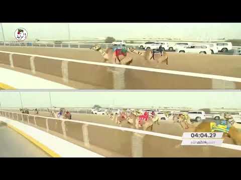 الشوط 10 هتاش ل محمد جارالله حمد ظرمان 6 0 79 مهرجان الامير الوالد 2022 1 29 حقايق الشحانية