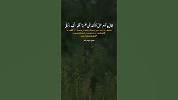 إِنَّ لَكَ أَلَّا تَجُوعَ فِيهَا وَلَا تَعْرَىٰ #سورة_طه 🌷 #ادريس_ابكر