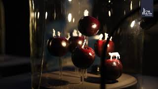 Argentina : terres de contrastes