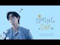 Bts v jimin rm    rm   spring day   v demo ver mmsub