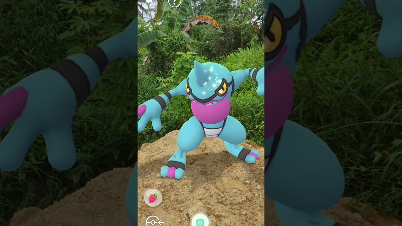 Shiny Croagunk in real life 