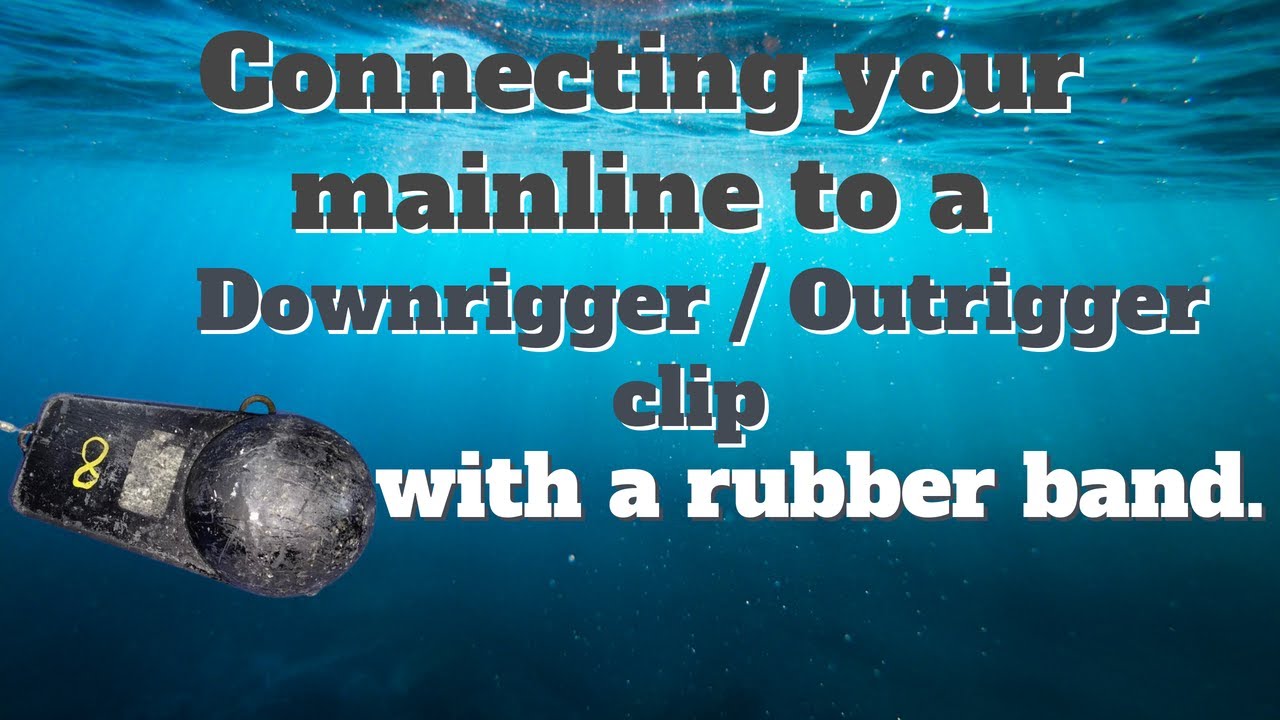 Connecting the main line to a Downrigger / Outrigger clip with a rubber  band. 