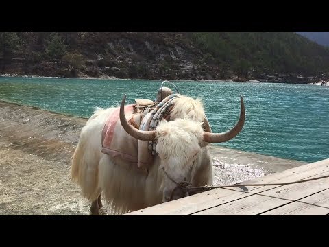 挿入歌音楽曲ドラマ 映画