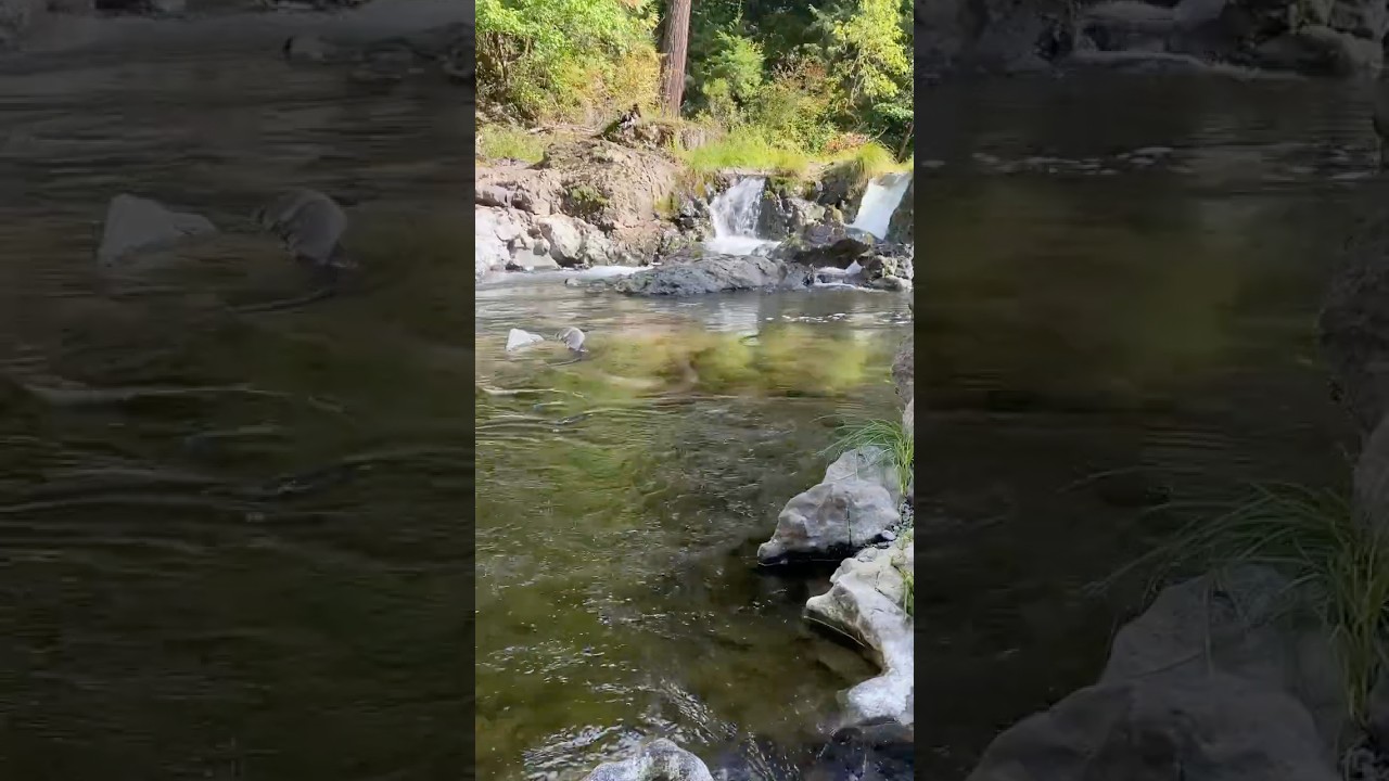 Near 📍 Kiwa Hot Springs 