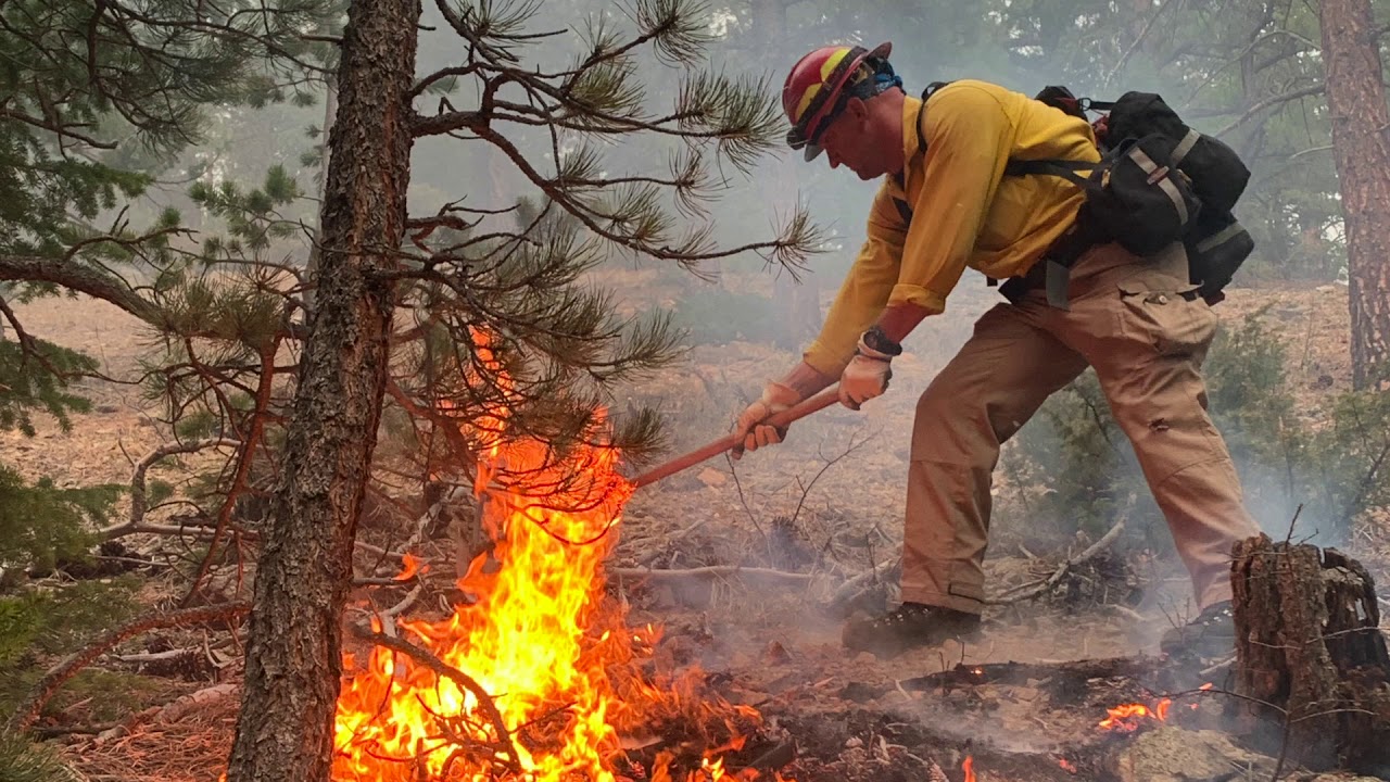 CalWood, Left Hand Canyon Fires Operational Update: October 20, 2020