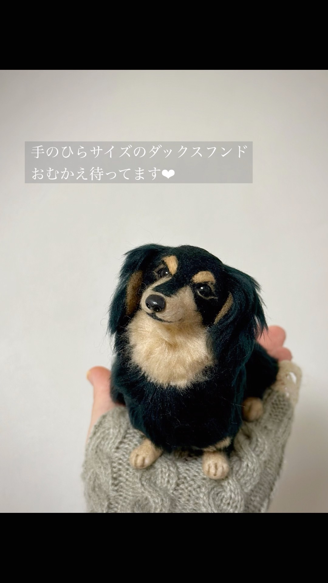 出品中】ハンドメイドのダックスフンド ブラックイエロー ブラックタン