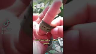 cara mengukur cincin paten