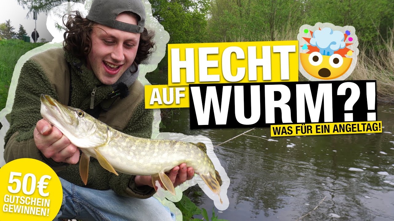 Extra Harte Feeder-Karpfenrute - Schnelle Action Für Präzises Angeln In Jedem Gewässer