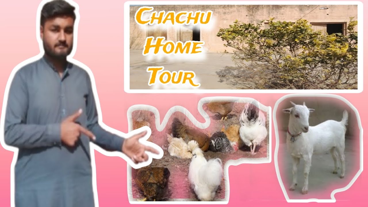 Chachu Rasheed Home Chachu Home Tour 🏠 Medical Store 💊 - YouTube