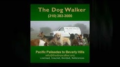 Pet Sitter Santa Monica CA