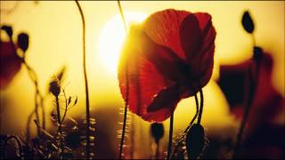 Long Nåps Ft. Dounia Hagenauer - When The Letters Fall