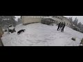 Петрохан - Камера 6 - паркинг- 01.02.; 16:22 ч.