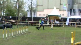 Animalevent2012 Dominique Met Unique Vp