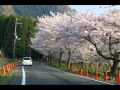 花紀行  松任谷由実 カバー ウクレレ弾き語り