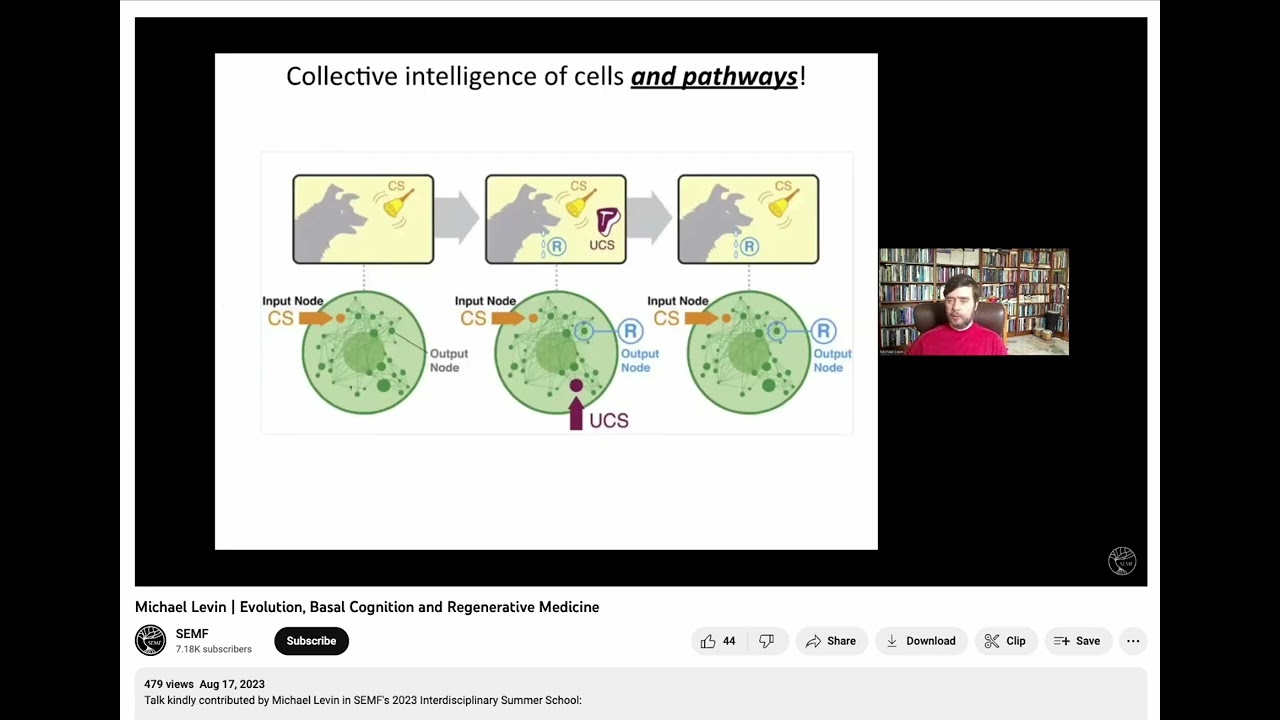Clip: Michael Levin - Unconventional Problem Solving Using Biology
